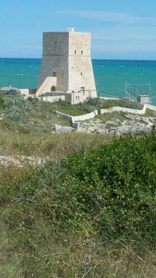 Holiday home La Dimora Dei Pescatori Vieste