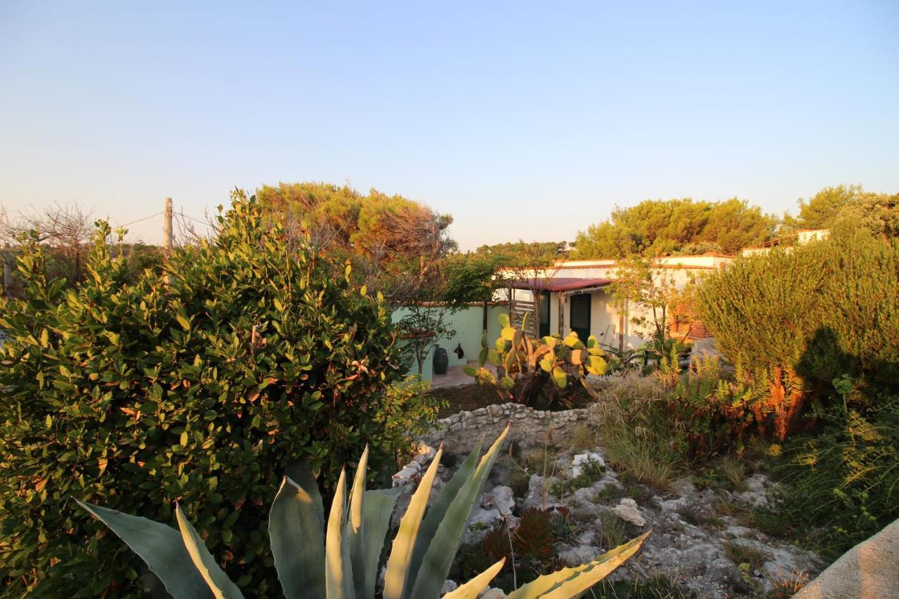 Casa vacanze La Dimora Dei Pescatori Vieste